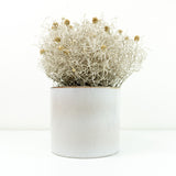 1970s CERAMIC PLANTER by MAREI Westgerman pottery, handpainted brown beige white