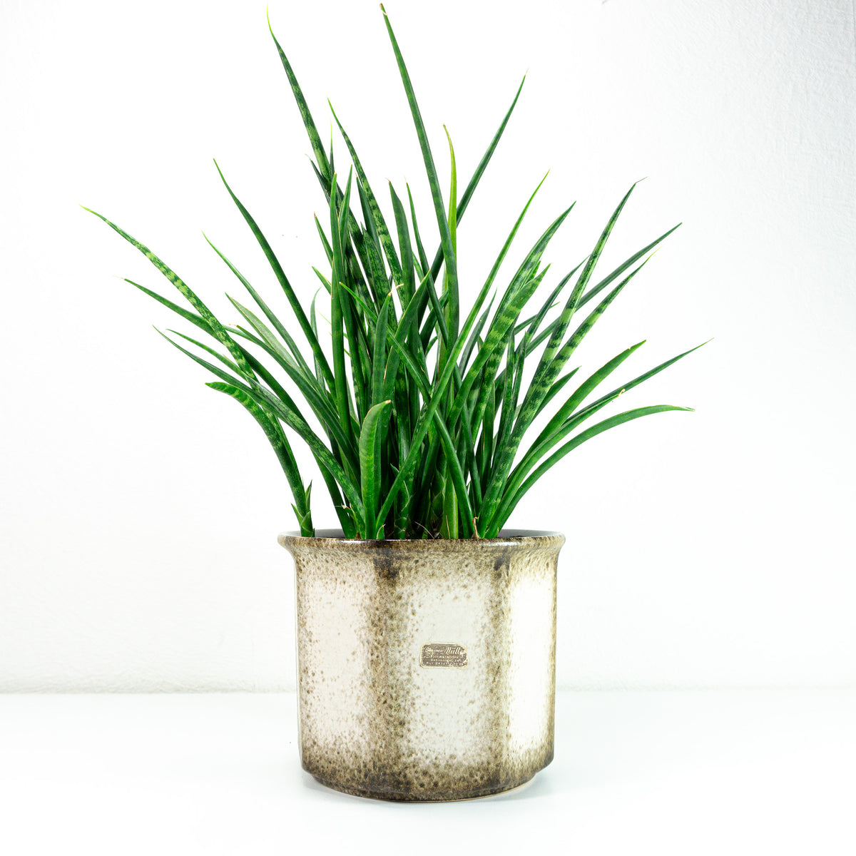 scheurich plant pots Large 1970s Beige Brown Midcentury Ceramic Planter by SCHEURICH 932-18