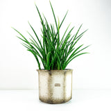 Large 1970s Beige Brown Midcentury Ceramic Planter by SCHEURICH 932-18