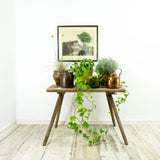 1930s VINTAGE rustic wooden MILKING STOOL bench