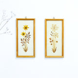 Pair of handmade 1960s DRIED FLOWERS wall art pictures