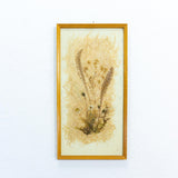 Large 1960s vintage DRIED FLOWERS wall art picture wooden framed