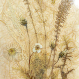 Large 1960s vintage DRIED FLOWERS wall art picture wooden framed