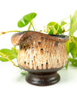 1960s midcentury Fat Lava CERAMIC PLANTER POT 513/14 by Dümler Breiden