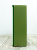 1970s Eastgerman green bathroom MEDICINE CABINET with mirror door