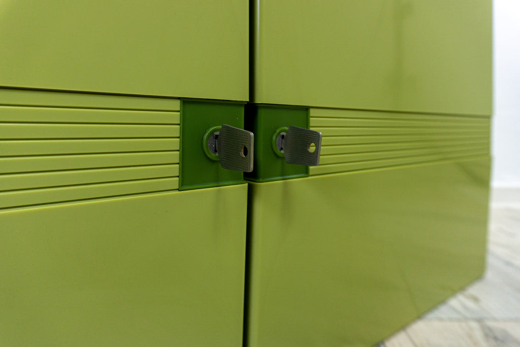 Large moss green 70s BATHROOM MEDICINE two doors + locks