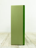 1970s Bicolor Green Plastic BATHROOM MEDICINE Cabinet 'Saphir' by Pneumant, GDR Eastgermany