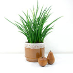 Caramel-Brown White 1960s CERAMIC PLANTER POT 624-16 by Strehla GDR