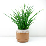 Caramel-Brown White 1960s CERAMIC PLANTER POT 624-16 by Strehla GDR