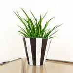 Extraordinary 1960s XL Conical Midcentury CERAMIC PLANTER Black White