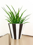 Extraordinary 1960s XL Conical Midcentury CERAMIC PLANTER Black White