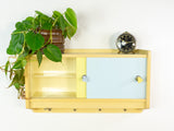 Rare 1960s Midcentury Wall Cabinet with Reversible Sliding Doors