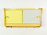Rare 1960s Midcentury Wall Cabinet with Reversible Sliding Doors
