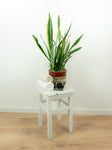Original 1950s VINTAGE rustic WOODEN STOOL side table plant