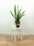 Original 1950s VINTAGE rustic WOODEN STOOL side table plant