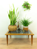 Midcentury Wooden Smoked Glass Coffee Table - Plant Stand with Tapered Legs