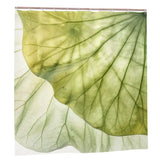 Translucent Green Leaf Vein Shower Curtain: Pastel Botanical Home Decor - Plastic - retro bathroom