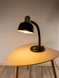 1970s Egon Hillebrand Design DESK TABLE LAMP with gooseneck