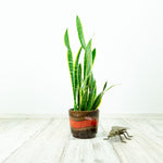 1970s Ceramic PLANTER by SCHEURICH series 'Fabiola' 806-17