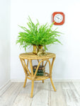 1970s Boho RATTAN COFFEE TABLE side table plant stand