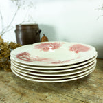 Rare 1930s vintage ENGLISH "HADDON HALL" rose pink Tableware by Johnson Brothers