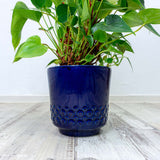 1970s Blue WGP CERAMIC PLANTER with bubble relief, Westgerman midcentury pottery