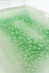 1980s vintage craquelure CERAMIC PLATE, green white crackle glaze