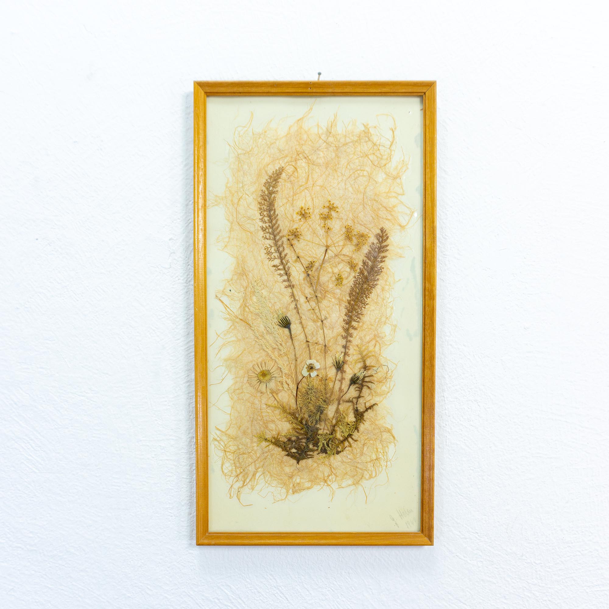 銅版画「Dry Flower」 VWG1871_01_midcentury_dried_fl
