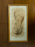 Large 1960s vintage DRIED FLOWERS wall art picture wooden framed